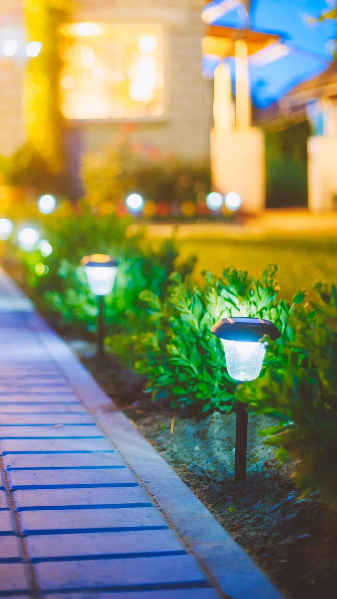 Coveri Garden